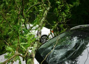 Does My Auto or Homeowners Insurance Police Cover Mailbox Damage?