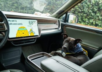 The Pet Comfort setting in Rivian electric vehicles keeps cabin temperatures safe and comfortable for pets.